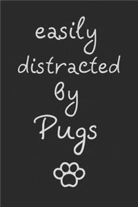 Easily distracted by Pugs