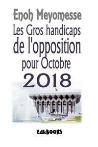 Les gros handicaps de l'opposition en 2018