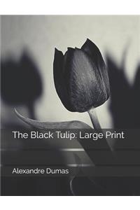 The Black Tulip