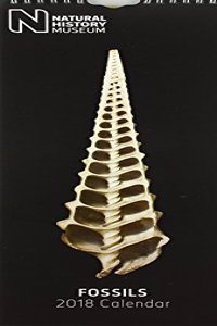 NHM ' Fossils' 2018 Slim Calendar