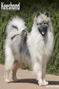 Keeshond Calendar 2019