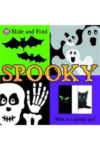 Slide & Find Spooky