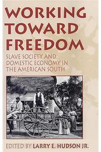 Working Toward Freedom: Working Toward Freedomslave Society and Domestic Economy in the American
