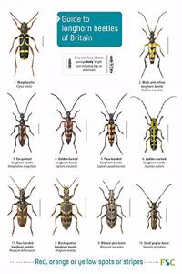 Guide to longhorn beetles of Britain