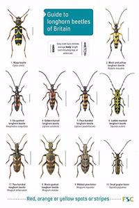 Guide to longhorn beetles of Britain