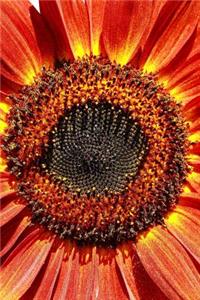 Red Sunflower Close Up Journal