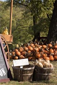 Pumpkin Patch Notebook