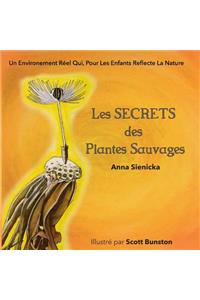 Les SECRETS des Plantes Sauvages