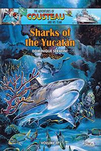 Sharks of the Yucatán