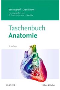 Benninghoff Taschenbuch Anatomie
