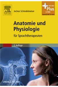 Anatomie Und Physiologie
