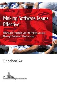 Making Software Teams Effective