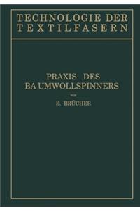 Baumwollspinnerei