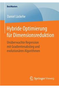 Hybride Optimierung Für Dimensionsreduktion