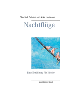 Nachtflüge