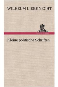 Kleine Politische Schriften