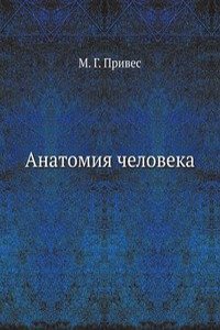 Anatomiya cheloveka