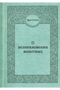 О возникновении животных