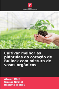 Cultivar melhor as plântulas do coração de Bullock com mistura de vasos orgânicos