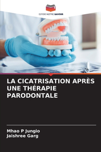 Cicatrisation Après Une Thérapie Parodontale
