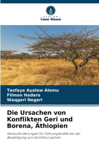 Die Ursachen von Konflikten Geri und Borena, Äthiopien