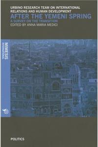 After The Yemeni Spring: A Survey on the Transition