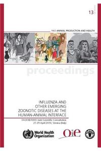 Influenza and other emerging zoonotic diseases at the human--animal interface