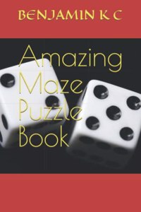 Amazing Maze Puzzle Book