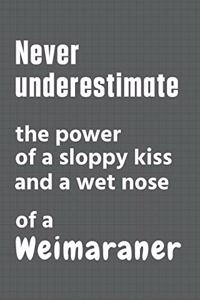 Never underestimate the power of a sloppy kiss and a wet nose of a Weimaraner