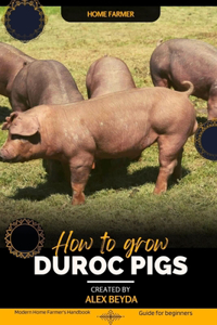 Duroc Pigs