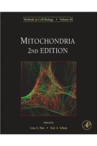 Mitochondria