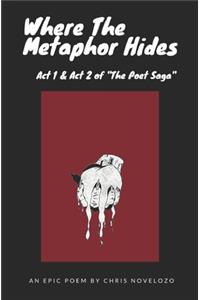Where The Metaphor Hides
