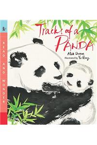 Tracks of a Panda