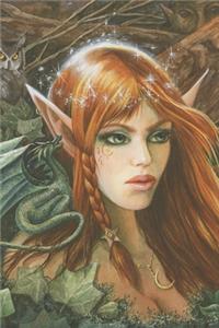 Messenger Fairy Journal