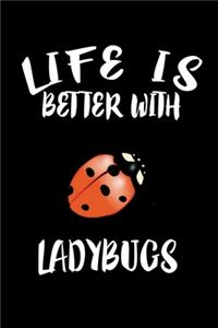 Life Is Better With Ladybugs