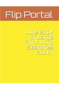 Little Book of Large Print Word Searches Book 1
