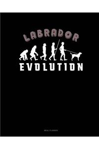 Labrador Evolution