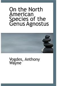 On the North American Species of the Genus Agnostus