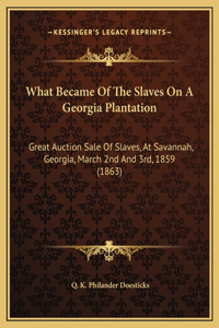 What Became Of The Slaves On A Georgia Plantation