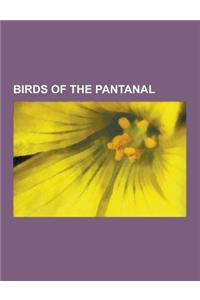 Birds of the Pantanal: Swallow-Tailed Hummingbird, Shiny Cowbird, Bananaquit, Purple Martin, Toco Toucan, Undulated Tinamou, Red-Eyed Vireo,