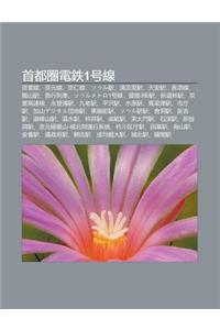 Sh U D U Qu N Dian Zhi1hao Xian: J Ng F Xian, J Ng Yuan Xian, J Ng Ren Xian, Souru Yi, Q Ng Liang L Yi, Ti N N Yi, Zh Ng Xiang Xian