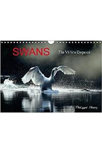 Swans / UK-Version 2018