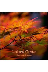 Couleurs D'erable 2018