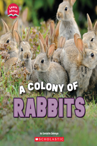 Colony of Rabbits (Learn About: Animals)