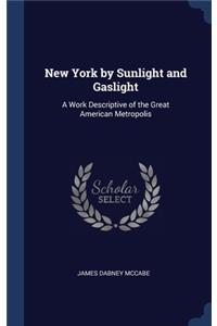 New York by Sunlight and Gaslight