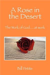 Rose in the Desert