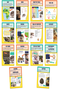 Mini Posters: Nonfiction Text Features