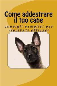 Come addestrare il tuo cane