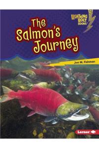 Salmon's Journey