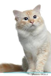 Birman Cat Affirmations Workbook Birman Cat Presents